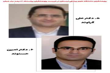 دکتر علی گراوند - دکتر امین حسنوند 